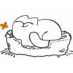 Кровать двухуровневая Кот № 900.1 ПРАВАЯ (туя светлая/белый) | фото 2