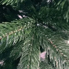 Искусственная елка "Кремлевская" (силикон) 210 | фото 2