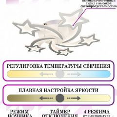 Потолочная люстра Natali Kovaltseva Smart home LED LAMPS 81213 | фото 5