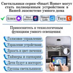 Потолочная люстра Natali Kovaltseva Smart home LED LAMPS 81213 | фото 6