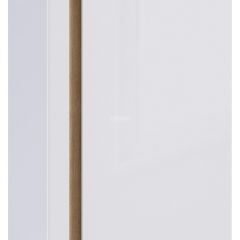 Шкаф 2х дверный с зеркалом Веста СБ-2259 (Дуб Бунратти/Белый глянец) | фото 3