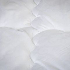 PROxSON Одеяло классическое PROSON (Стеганное полотно) 140x200 | фото 4