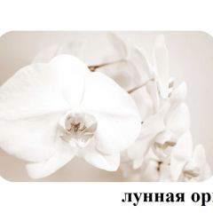 БОСТОН - 3 Стол раздвижной Лунная орхидея 1100/1420 опоры Триумф | фото 2