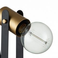 Настольная лампа декоративная Indigo Animo 10007/B/1T Black | фото 3