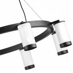 Подвесная люстра Lightstar Rullo LR01836837 | фото 5