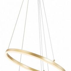 Подвесной светильник Escada Void 10254/2LED Gold APP | фото 4