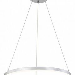 Подвесной светильник Escada Void 10254/1LED Silver APP | фото 5