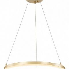 Подвесной светильник Escada Void 10254/1LED Gold APP | фото 4