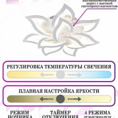 Потолочная люстра Natali Kovaltseva LED LAMPS LED LAMPS 81224 | фото 5