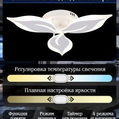 Потолочная люстра Natali Kovaltseva Sirius LED LAMPS 81164 | фото 7