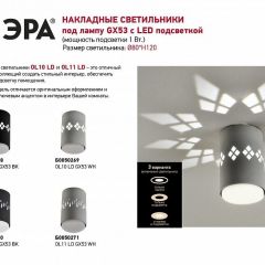 Накладной светильник Эра OL10 Б0050269 | фото 4