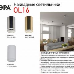 Накладной светильник Эра OL16 GU10 WH Б0049043 | фото 2
