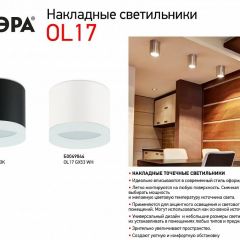 Накладной светильник Эра OL17 GX53 BK Б0049028 | фото 3