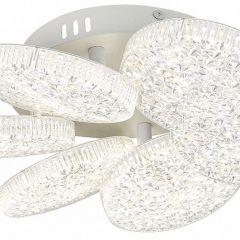 Потолочная люстра Escada Agata 10278/6LED | фото 2