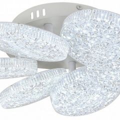 Потолочная люстра Escada Agata 10278/6LED | фото 3