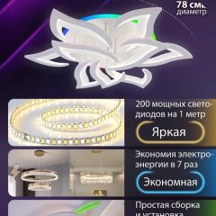 Потолочная люстра Natali Kovaltseva OLIMP LED LAMPS 81435 | фото 5