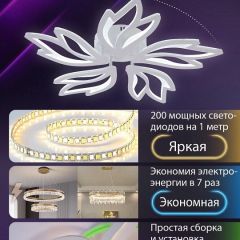 Потолочная люстра Natali Kovaltseva RIF LED LAMPS 81118/4C | фото 5