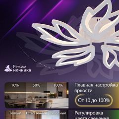 Потолочная люстра Natali Kovaltseva RIF LED LAMPS 81118/4C | фото 6