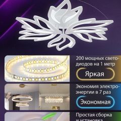 Потолочная люстра Natali Kovaltseva RIF LED LAMPS 81118/5C | фото 5