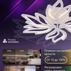 Потолочная люстра Natali Kovaltseva RIF LED LAMPS 81118/5C | фото 6