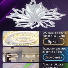 Потолочная люстра Natali Kovaltseva RIF LED LAMPS 81118/6C | фото 5