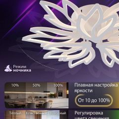 Потолочная люстра Natali Kovaltseva RIF LED LAMPS 81118/7C | фото 6